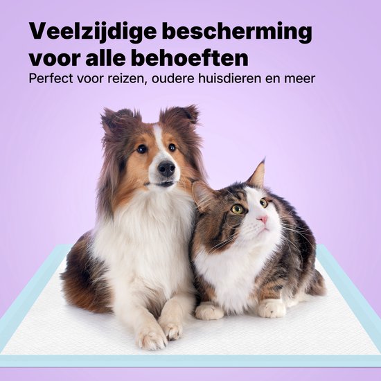 Jake and Jacky : tapis d'apprentissage de la propreté pour chiots avec bande adhésive, 360 pièces - Apprentissage de la propreté pour chiens - Tapis absorbants pour chiens - Toilettes pour chiens - Linges absorbants - Linges pour chiots - Tapis pour chiot