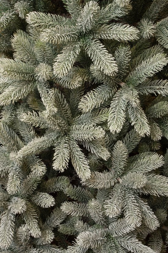 Black Box Trees Nagoya Artificial Christmas Tree - H240 x Ø138 cm - Vert givré