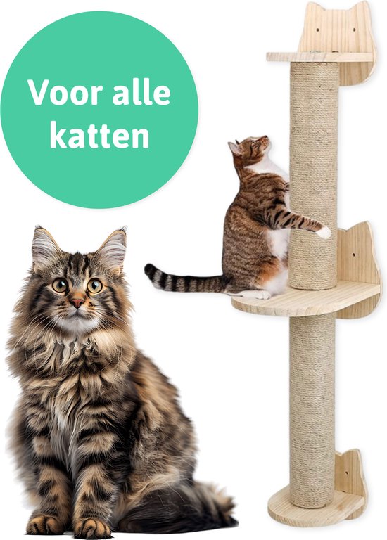 Mur d'escalade pour chat - griffoir - 2 plateformes - Mur d'escalade pour chat - Mur - Mur d'escalade pour chat - Pour grands chats - Mur d'escalade - set complet