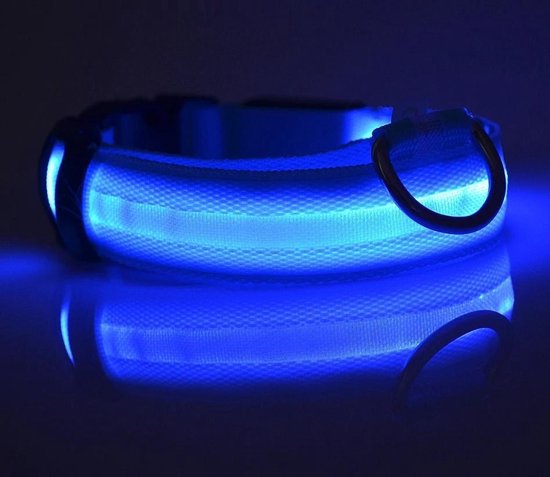 Collier lumineux LED Taille XL 42 - 56 cm USB Rechargeable Collier Chien Laisse Chiot - Bleu Chien Chat Chat - Dutchwide
