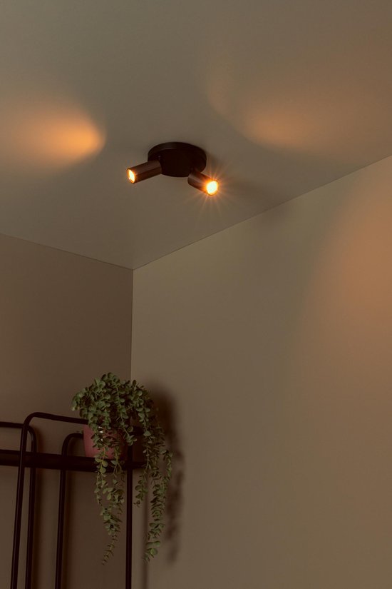 Lucide RITMO - Spot de plafond (lampe de plafond) - Ø 15 cm - 2xGU10 (MR11) - Café