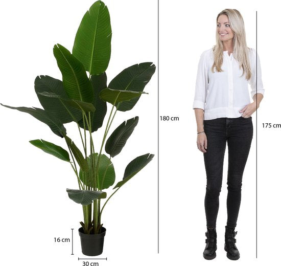 Bananier Artificiel en Pot - Mica Decorations - H180 x Ø30 cm - Vert