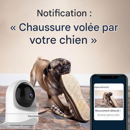 Caméra de surveillance pour animaux 360° ProTrue, 1080P avec application, Blanc