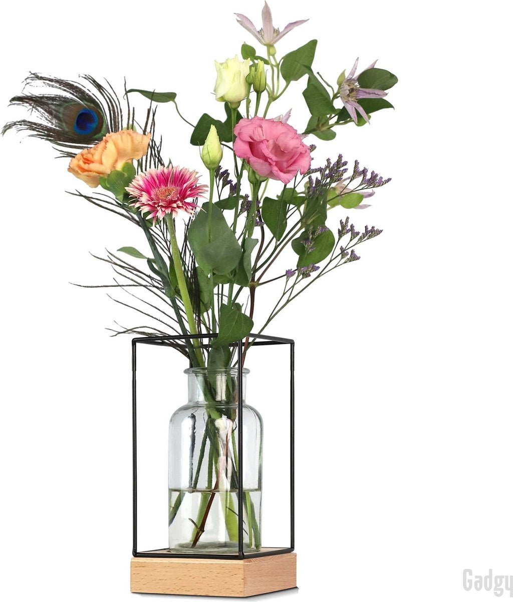 Gadgy Vase avec éclairage LED - Vase lampe - Vase en verre avec lampe - Cadeau de fête des mères - Hydroponique - Fonctionne avec des piles - Lampe de table - Ø11cm