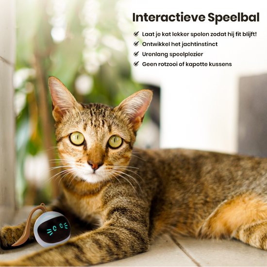 Otiume Balle interactive pour chat - Auto-roulante - Rechargeable par USB - Jouet