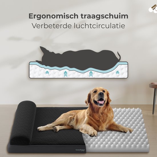 CozySense® Coussin orthopédique pour chien - 60 X 42 cm - Taille S - Imperméable - Convient comme coussin de banc et lit pour chien - Housse lavable - Noir