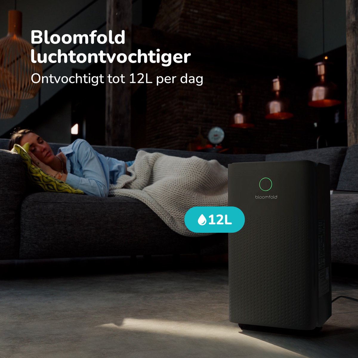 Déshumidificateur Bloomfold - 12L par jour - Salon, chambre, sous-sol et salle de bain - Déshumidificateur - Noir