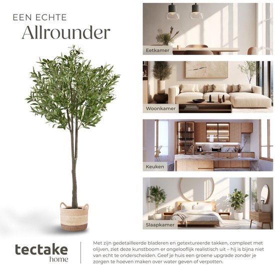 tectake® Olivier artificiel Oleand - Plante artificielle méditerranéenne avec feuilles et olives réalistes - Peu d'entretien et polyvalent - Pot de fleurs robuste inclus - Hauteur : 150 cm