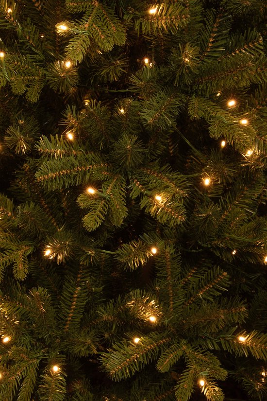 Black Box Trees Harma Narrow Artificial Christmas Tree with LED Lights - H185 x Ø63 cm - Vert