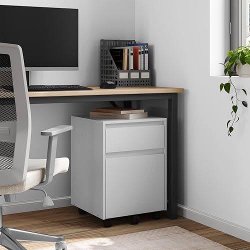 Woltu Rolling Drawer Cabinet ASK11ws - Conteneur de bureau mobile avec 2 tiroirs - Blanc - 40 x 56 x 40 cm
