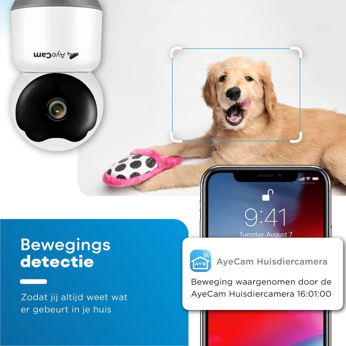 AyeCam Pet Camera - Avec App - Incl. 32GB SD - WiFi - Détection de mouvement et de son - Caméra de sécurité - Caméra pour chien