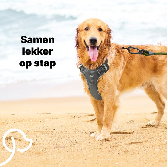 Laisse pour chien Jake and Jacky 3 mètres - Laisse pour chien - Ligne de course - Vert