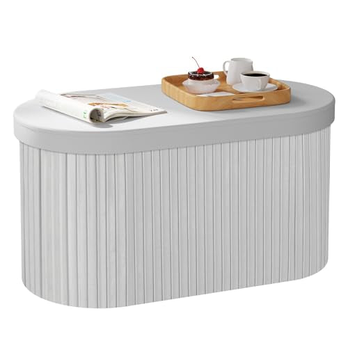 Woltu Storage Bench Velvet - Dark Grey - 76 x 38 x 38 cm - Boîte de rangement pliable avec couvercle amovible