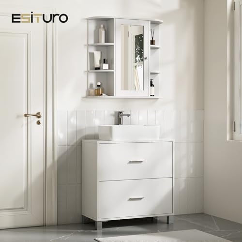 eSituro Armoire de toilette avec miroir blanc LHT 60 x 58 x 16 cm