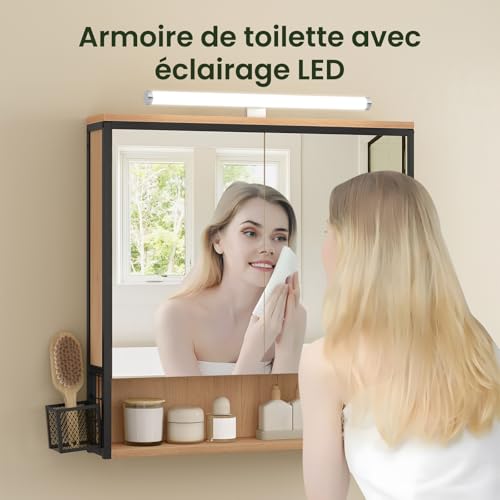 Eugad Armoire de toilette avec miroir LED chêne noir 70 x 14,5 x 70 cm