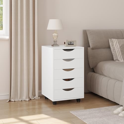 Woltu Armoire de bureau avec 5 tiroirs - Armoire de rangement mobile - Blanc - 40 x 40 x 66,5 cm