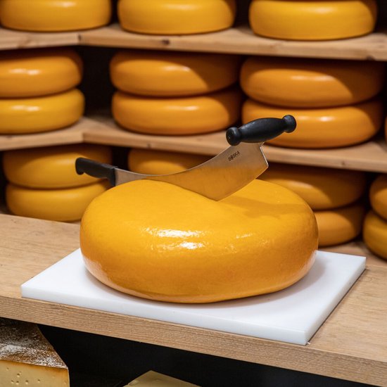 Couteau à fromage Boska Hollands - Professionnel M - 300 mm