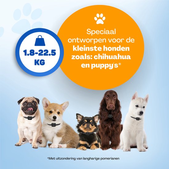 Vulpes Goods® Anti Bark Collar Mini Vulpes Goods® Anti Bark Collar Mini - Collier d'éducation sans choc - Dispositif anti-aboiement pour petits chiens - Étanche - Rechargeable - Vibration et Audio