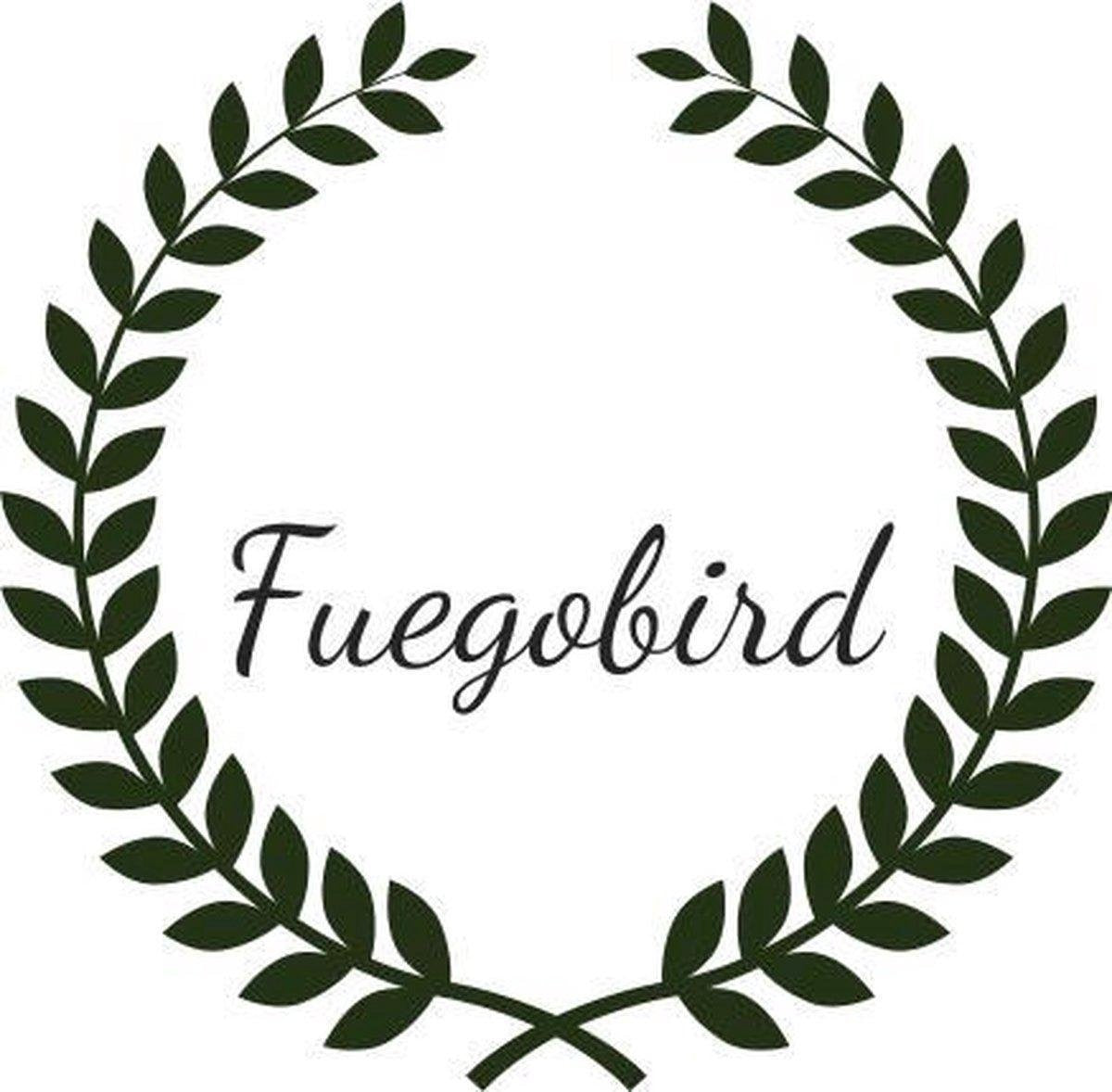 Fuegobird EK009 Lampe de bureau LED - Filaire - Chargement sans fil pour téléphone - Dimmable - Pliable - Smart Touch - Technologie Qi - Noir