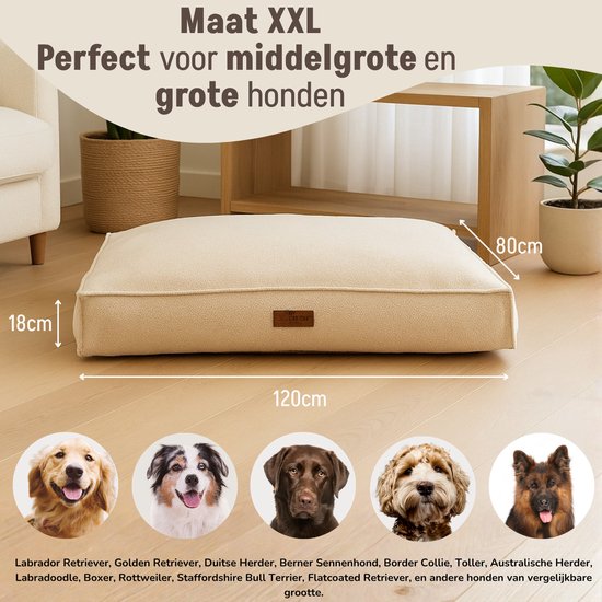By Cee Cee Coussin orthopédique pour chien - Panier orthopédique pour chien - Coussin pour chien XXL - Rembourrage en flocons de mousse - Tissu côtelé Mocha Taupe - 120x80x18cm - Arlo