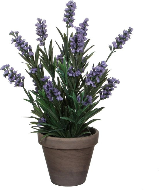 Mica Decorations Plante artificielle Lavendula/lavande - vert/violet - D22 x H33 cm - pot gris - plante d'intérieur - fleurs artificielles