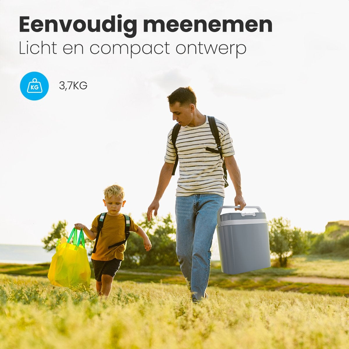 Auronic Electric Coolbox - Coolbox - 20L - 12V et 240V - Gris