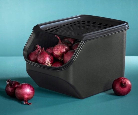 Boîte de conservation Tupperware pour oignons - Modèle original