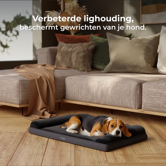 CozySense® Coussin orthopédique pour chien - 60 X 42 cm - Taille S - Imperméable - Convient comme coussin de banc et lit pour chien - Housse lavable - Noir