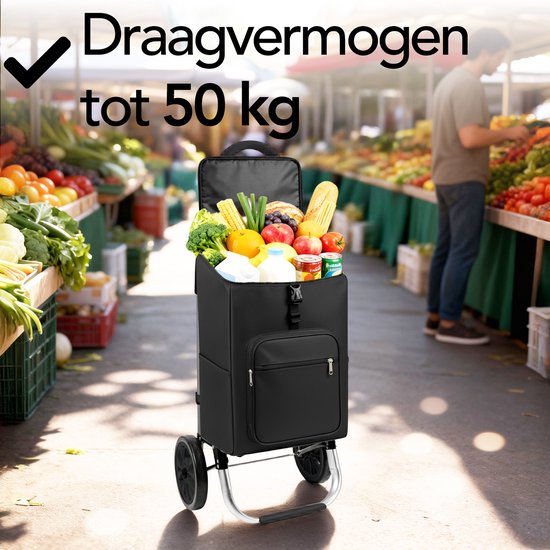 Brixy Chariot de courses - Pliable - Avec roues - Sac de courses amovible - Chariot de courses - Noir