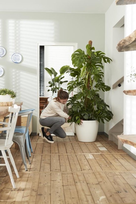 Elho Brussels Rond Wielen 35 - Grand pot de fleurs d'intérieur - Plastique 100 % recyclé - Ø 35 x H 33 cm - Blanc