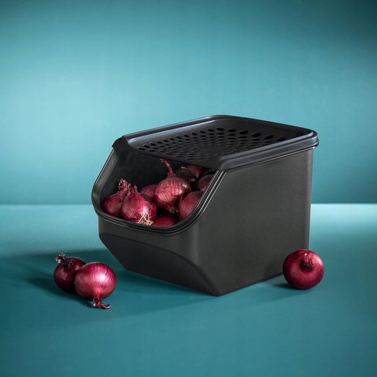 Boîte de conservation Tupperware pour oignons - Modèle original