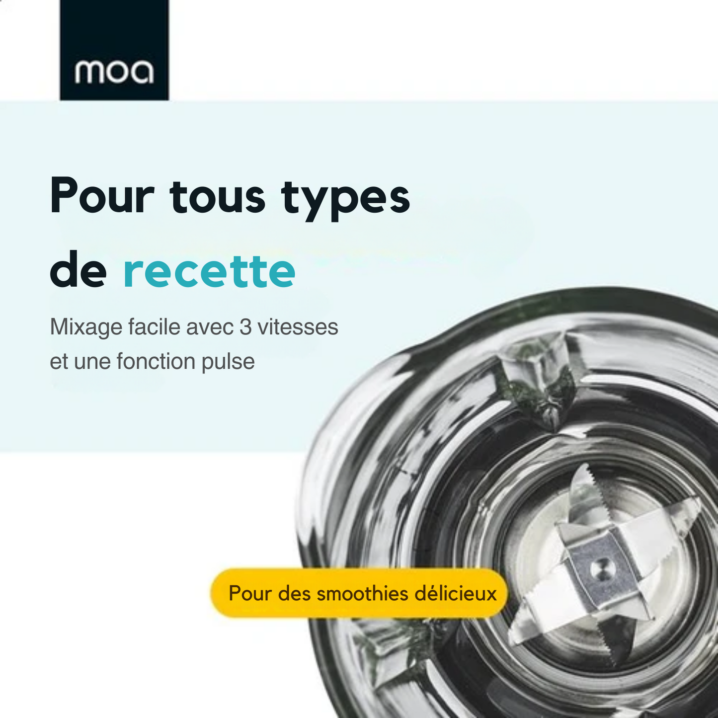 Blender - MOA - 1000W - Pichet en verre 1,5L - 3 vitesses + Pulse - Acier inoxydable