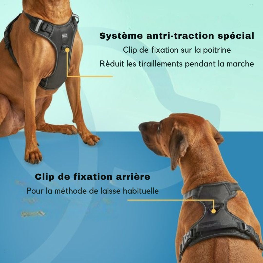 Harnais pour chien Jake et Jacky - Harnais anti-traction - Réfléchissant - Taille L - Noir