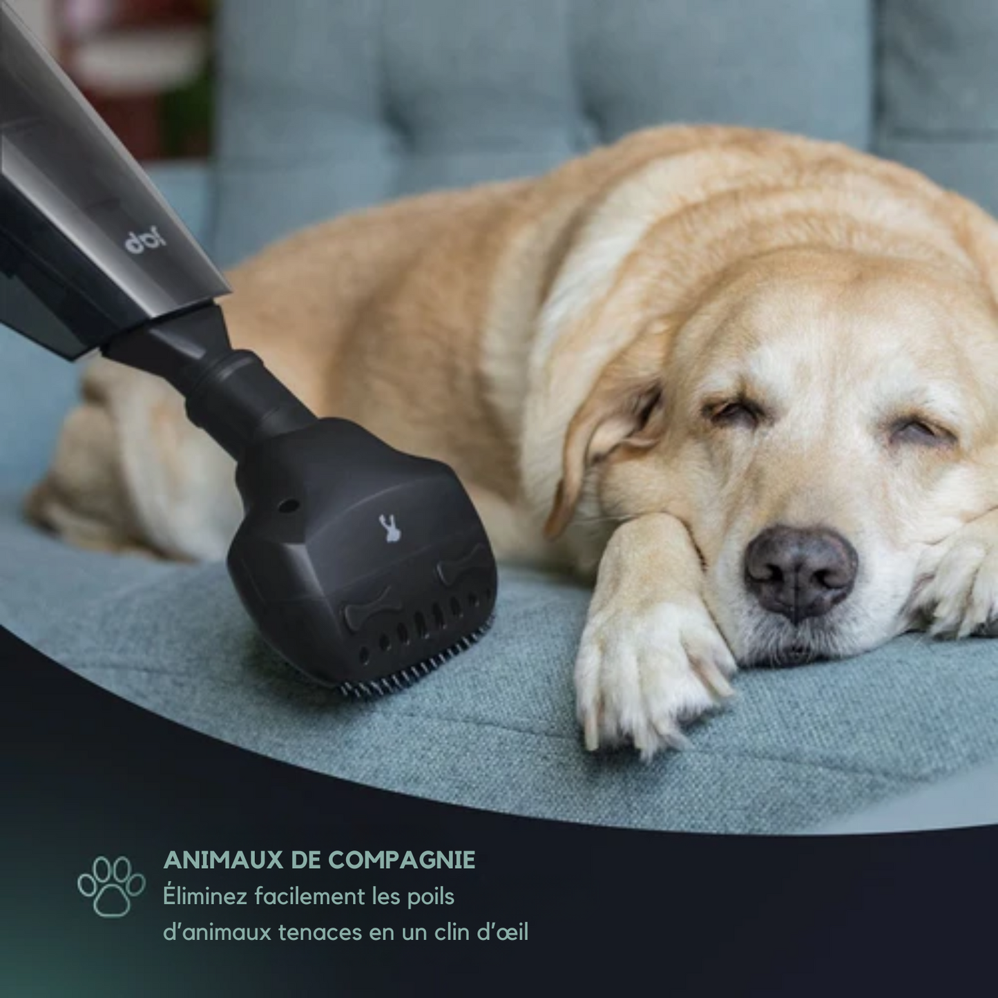 Aspirateur à main - JAP Appliances - aspirateur sans fil - Avec accessoires - 22,2V