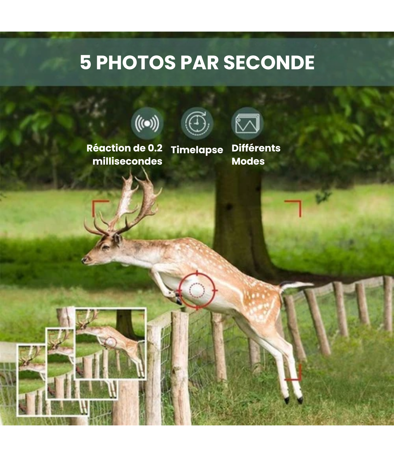 Strex - Wildlife Camera - avec vision nocturne - 36MP 4K ULTRA HD - Waterproof - Incl. 32 GB SD - Wildlife Camera