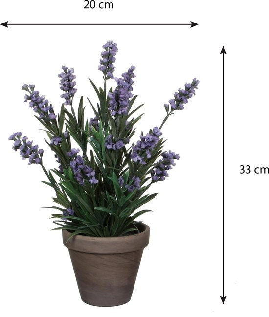 Mica Decorations Plante artificielle Lavendula/lavande - vert/violet - D22 x H33 cm - pot gris - plante d'intérieur - fleurs artificielles