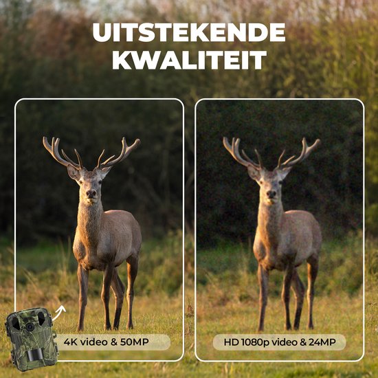 Caméra Denver pour animaux sauvages avec vision nocturne - 4K Ultra HD - 50MP - écran LCD - étanche - WCS5023