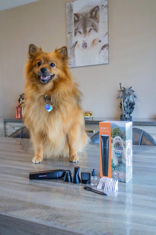 Dutchwide Tondeuse pour chien et chat - Pour poils épais - Tondeuse silencieuse - Sans fil - Kit de toilettage pour animaux - Tondeuse pour chien - Tables de coupe pour chiens - Tondeuse