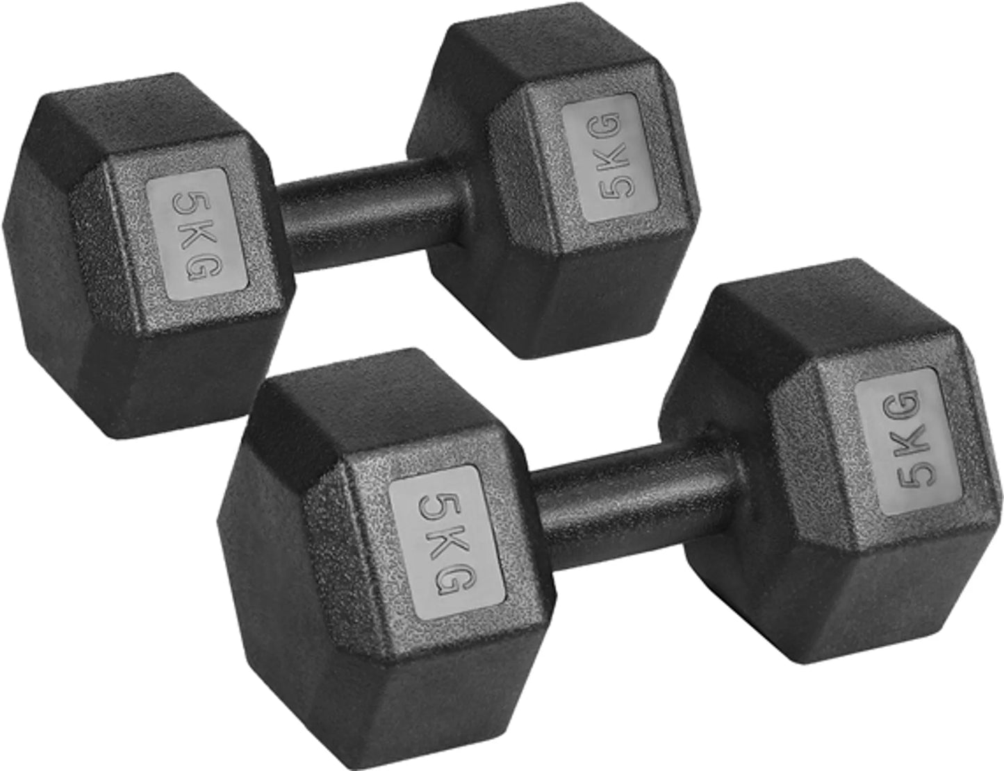 Yaheetech Jeu d'haltères de 2 x 5 kg - Tête hexagonale, conception antiroulis et revêtement en plastique - Pour la musculation et la gym à domicile - Plastique noir et béton - 28.5 x 15 x 13 cm