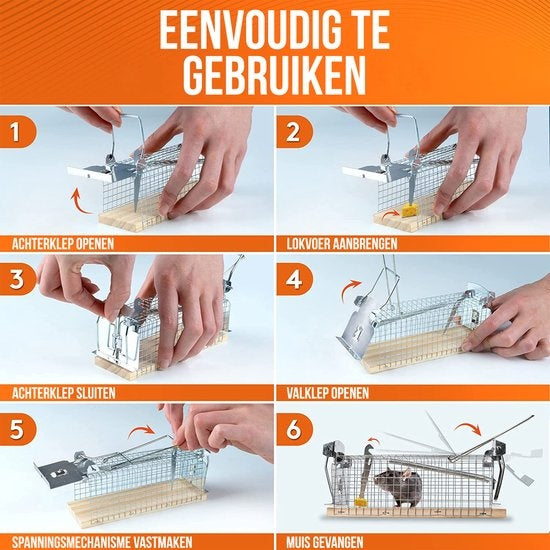 Piège à souris Strex pour l'intérieur et l'extérieur - respectueux des animaux - piège vivant - 2 pièces