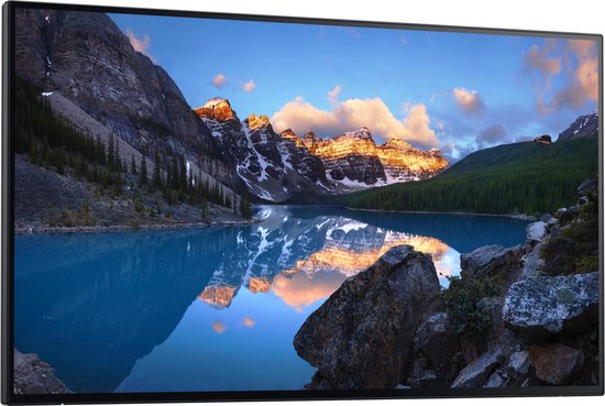 Écran d'ordinateur DELL UltraSharp U2424H_WOST, 60,5 cm (23,8"), 1920 x 1080 pixels, Full HD, LCD, noir, argent