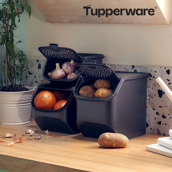 Tupperware GarlicSmart 2,3 L - Récipient à ail - Sans BPA - Récipient de conservation pour l'ail - Empilable - Récipient Keep-fresh - L'ail reste frais plus longtemps