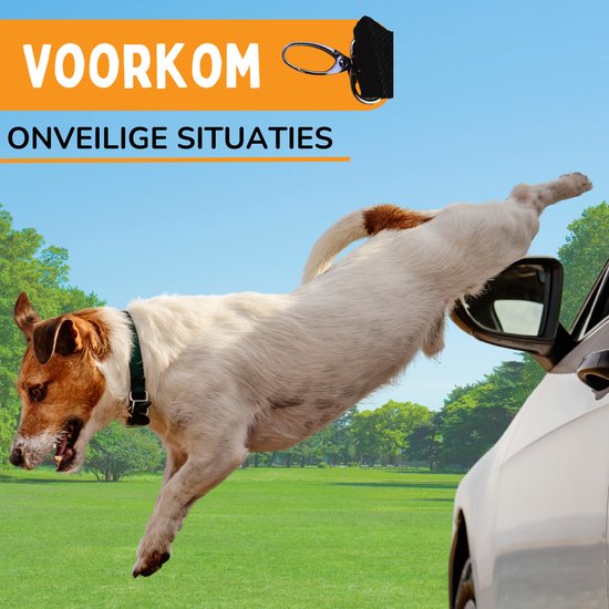 By Cee Cee Car Seat Dog Deluxe - Panier de voiture pour chien avec sangle de sécurité - Panier de voiture pour chien - Siège pour chien - Siège de voiture - Gris foncé - Taille L