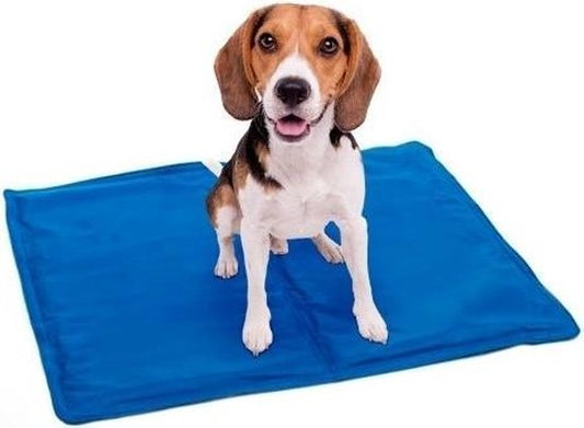 Tapis rafraîchissant pour chiens - 65 x 50 cm - Bleu