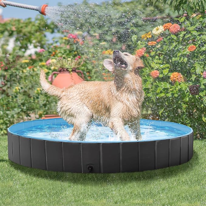 Piscine pliable pour chiens Yaheetech XXL 160 x 30 cm - Noire - Baignoire antidérapante pour chiens et chats