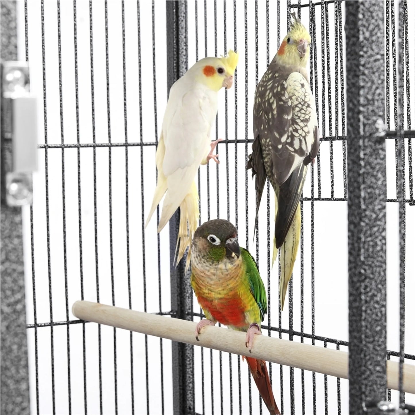Yaheetech Cage à oiseaux avec cloison - Avec support amovible et quatre perchoirs et rangement - Pour canaris et perruches - Métal laqué noir et bois - 95,5 x 45,5 x 105 cm