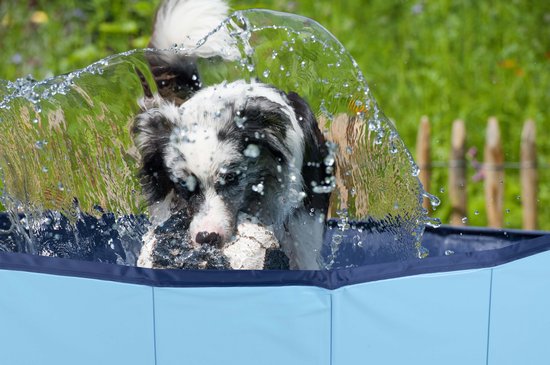 maxxpro Piscine pour chien - 160 x 30 CM - grandes races de chiens - Baignoire pour chien pliable - fond antidérapant - avec valve de vidange - bleu