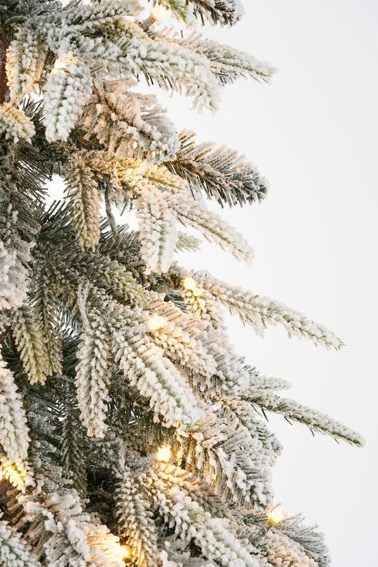 Black Box Trees : sapin de Noël artificiel avec éclairage, minuterie et fonction de variation d'intensité - H 155 x Ø 48 cm - Vert