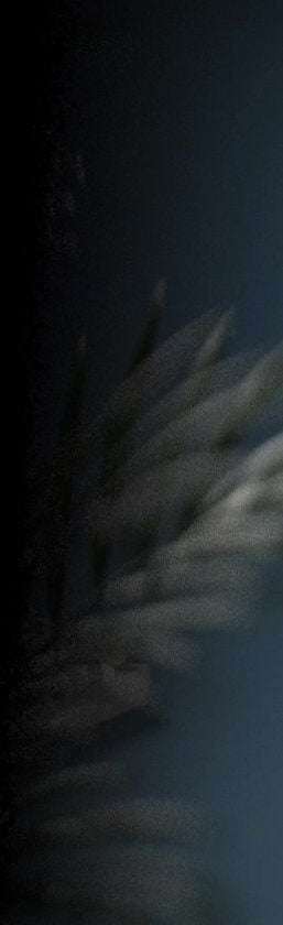 Strex Beamer ANDROID - Entrée en Full HD - 7000 Lumens - Streaming depuis votre téléphone avec WiFi - Mini projecteur - Ecran de projection 100" inclus