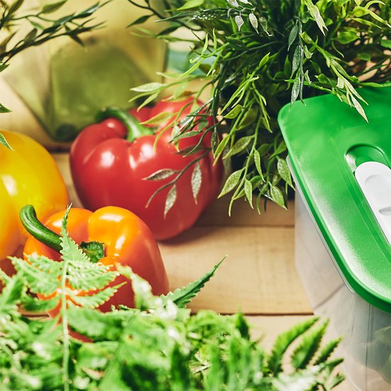 Tupperware Fridge Smart 4,4 l - Boîtes de conservation - Sans BPA - Bocal de conservation - Boîte à repas - Boîtes en plastique - Récipients alimentaires - Les aliments restent frais deux fois plus longtemps